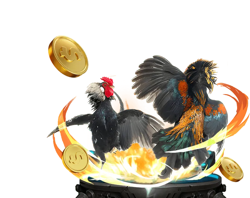 Tổng quan về nền tảng Kubet Ku Casino